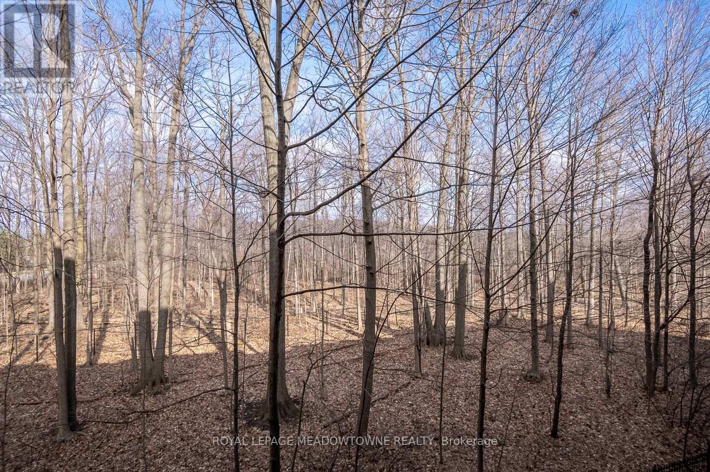 311 - 483 Faith Drive, Mississauga, Ontario  L5R 0A1 - Photo 25 - W12964668