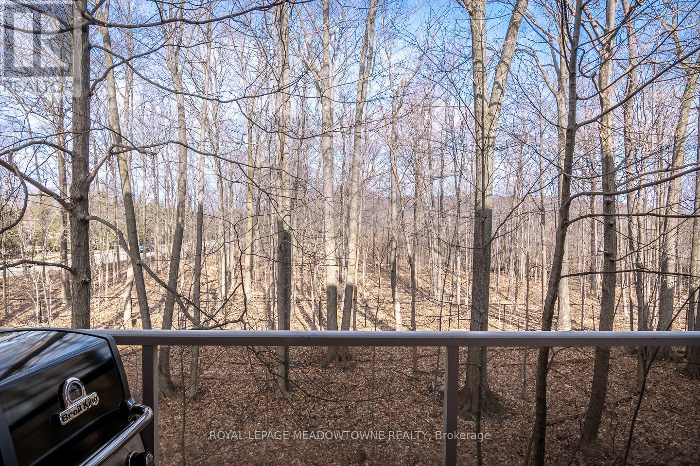 311 - 483 Faith Drive, Mississauga, Ontario  L5R 0A1 - Photo 27 - W12964668