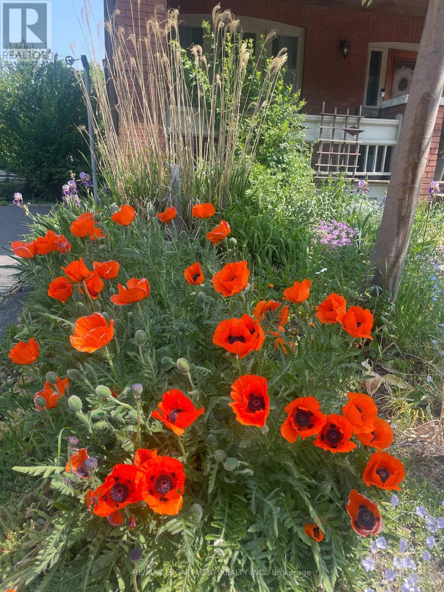 1 Rutherford Avenue, Hamilton, Ontario  L8M 1Y3 - Photo 44 - X12964374