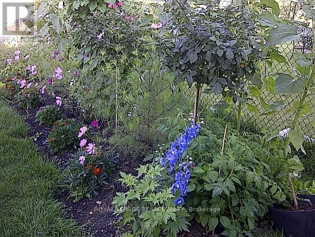 249 Huntsville Drive, Ottawa, Ontario  K2T 0C5 - Photo 38 - X12964786