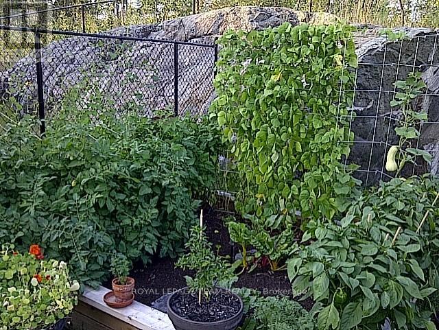 249 Huntsville Drive, Ottawa, Ontario  K2T 0C5 - Photo 39 - X12964786