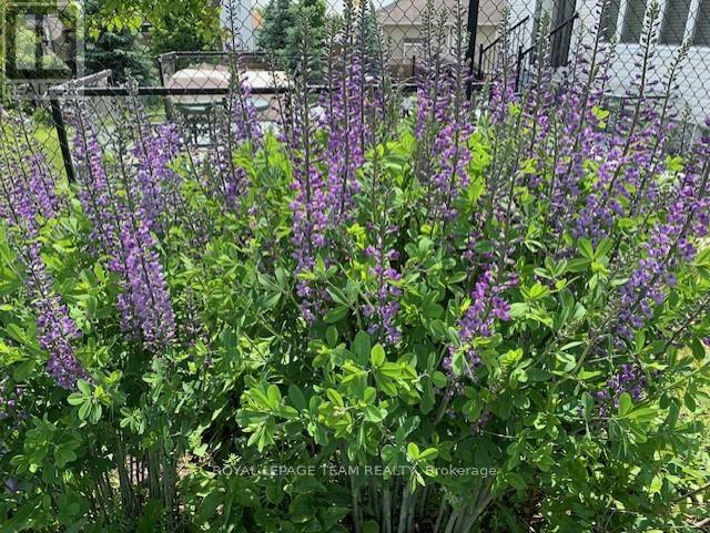 249 Huntsville Drive, Ottawa, Ontario  K2T 0C5 - Photo 40 - X12964786