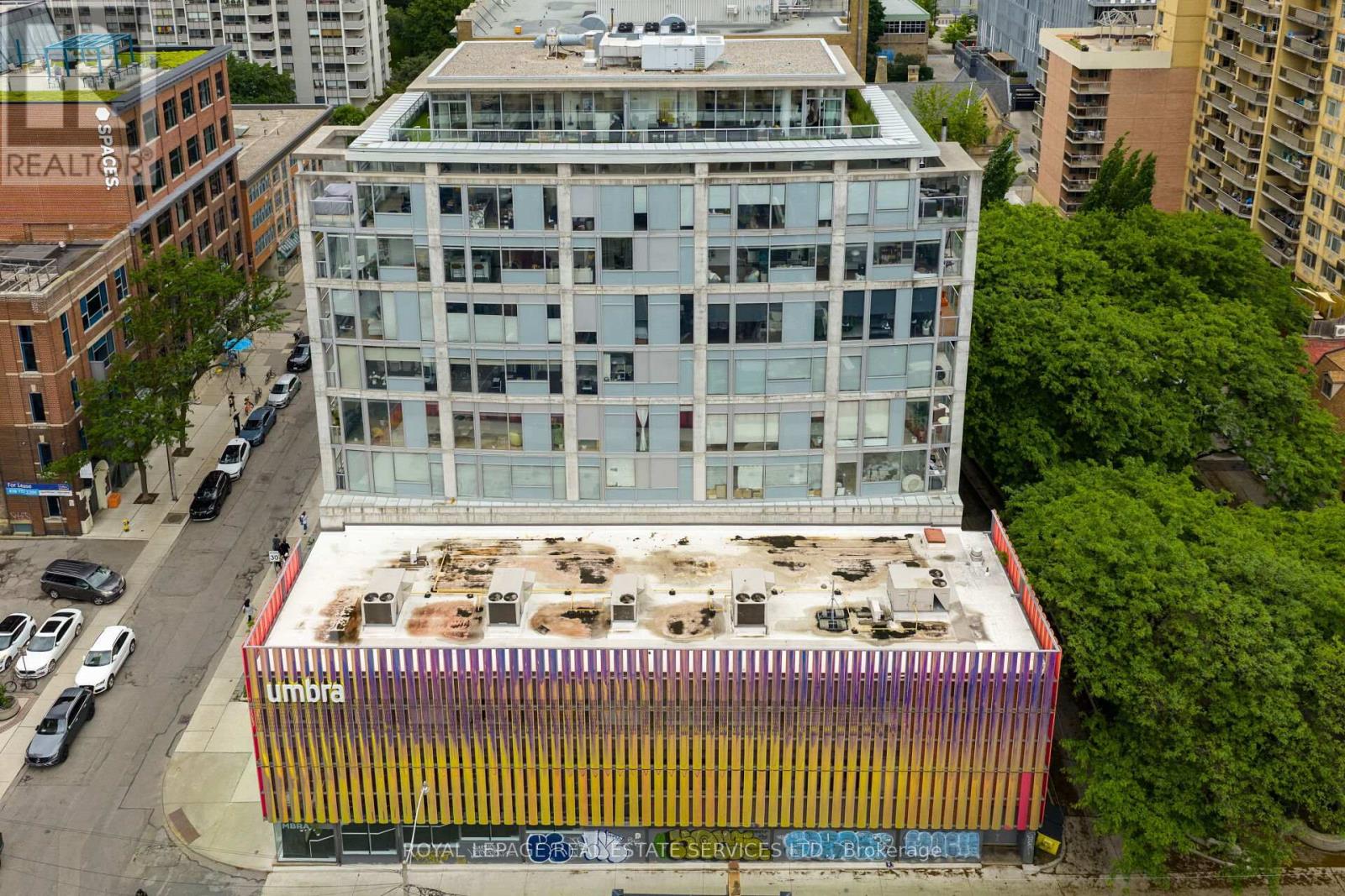 804 - 169 John Street, Toronto, Ontario  M5T 1X3 - Photo 15 - C12964834