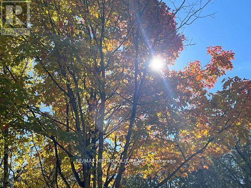 1000 Elgin Street, Newmarket, Ontario  L3Y 3C1 - Photo 49 - N12964782