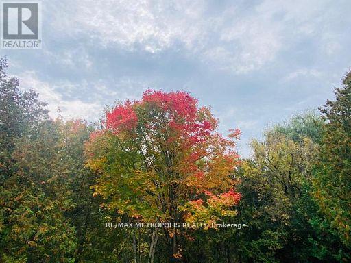 1000 Elgin Street, Newmarket, Ontario  L3Y 3C1 - Photo 50 - N12964782