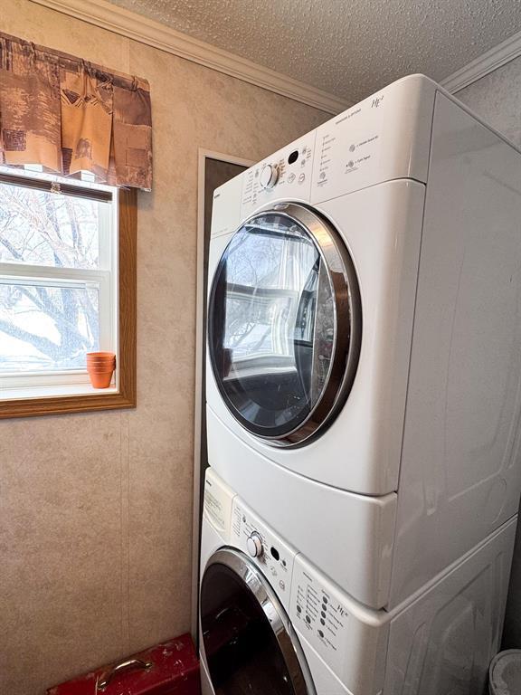 350 2nd Avenue E, Minitonas, Manitoba  R0L 1G0 - Photo 24 - 202606526