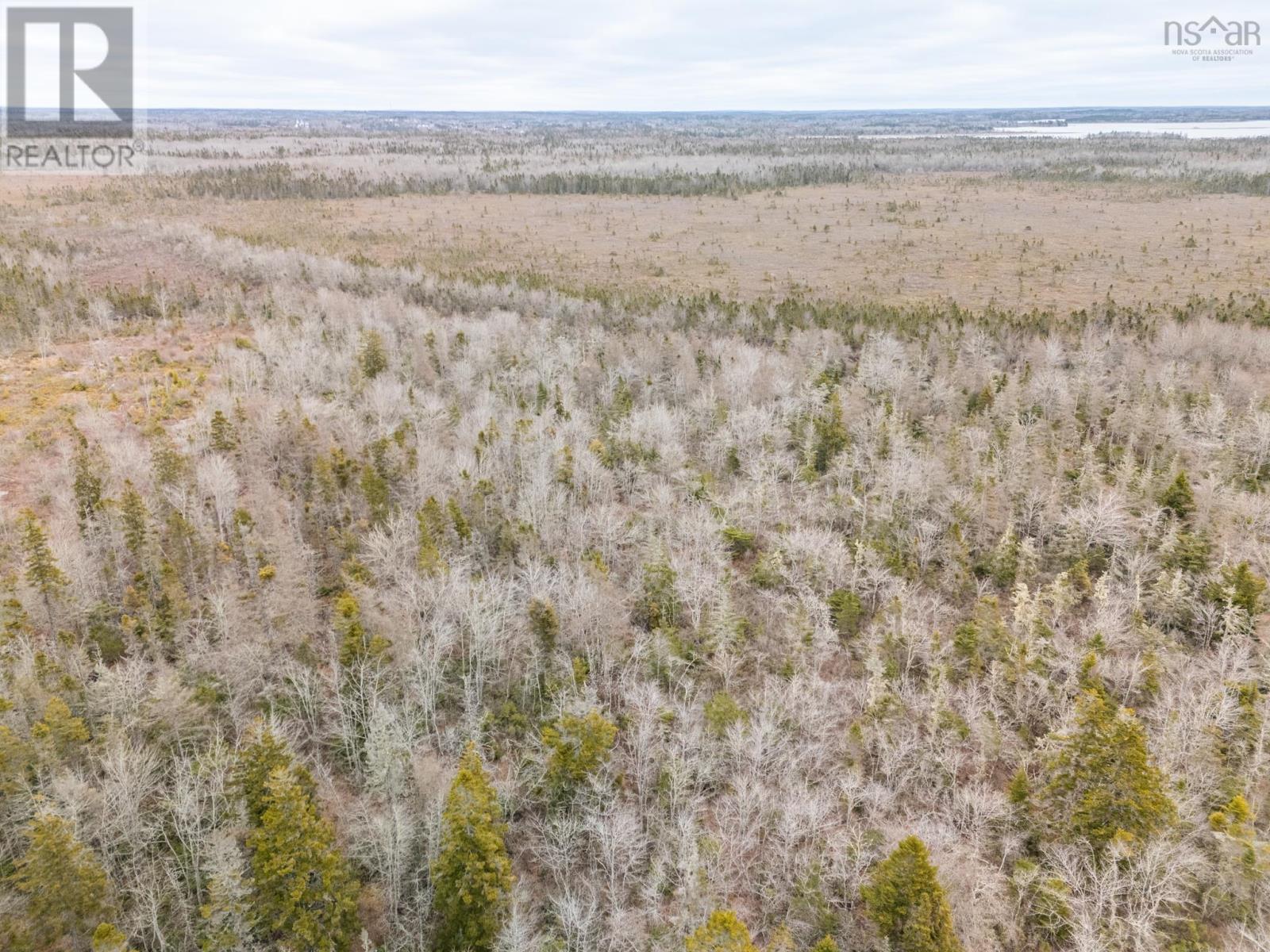 Lot Gasson Road, Amiraults Hill, Nova Scotia  B0W 3M0 - Photo 9 - 202601636