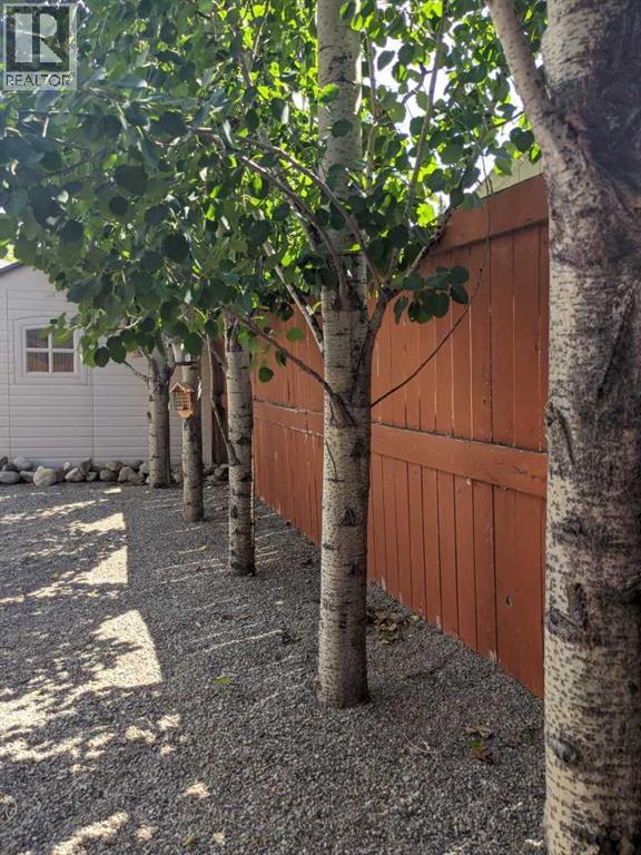 133 Cimarron Drive, Okotoks, Alberta  T1S 2P2 - Photo 44 - A2289240