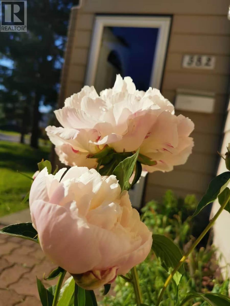 3 582 Nobel Rd, Thunder Bay, Ontario  P7B 5Y8 - Photo 24 - TB2600631