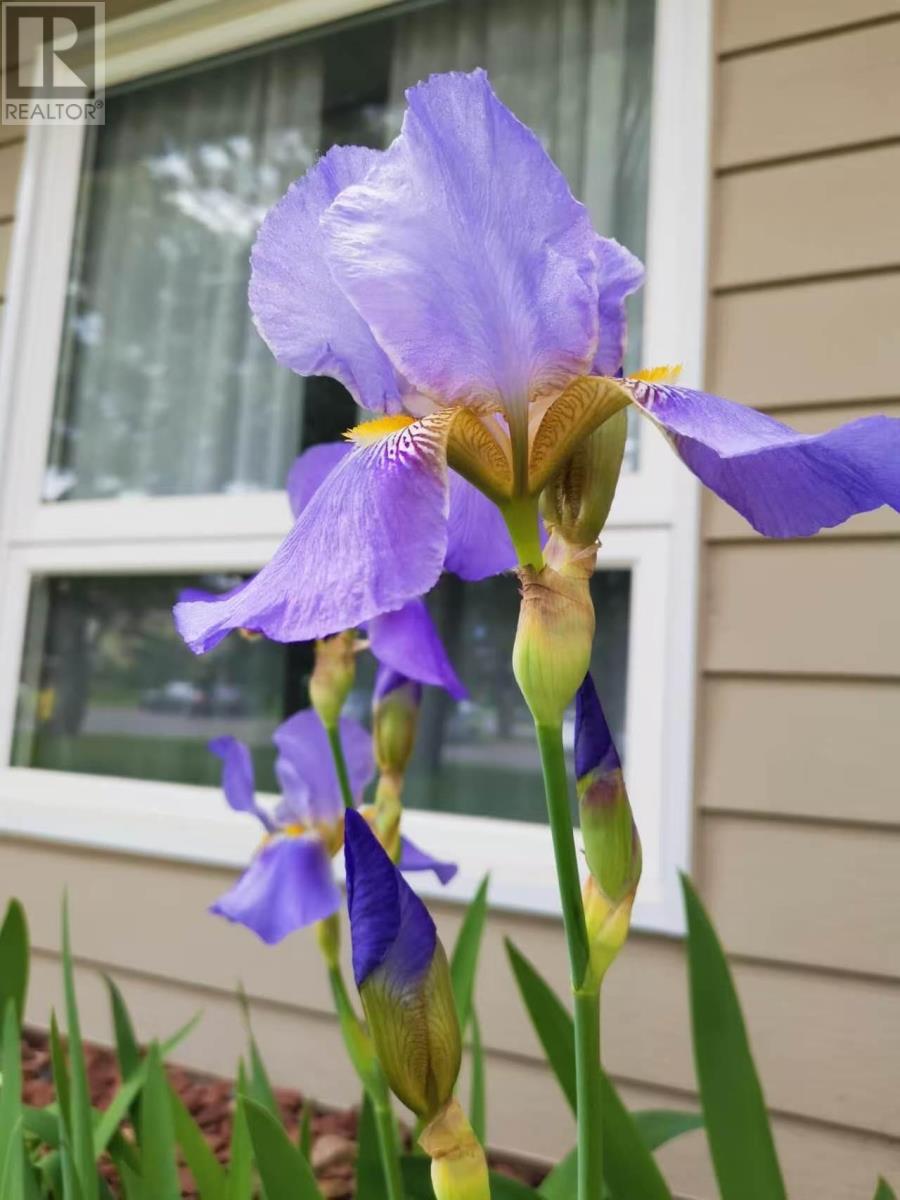 3 582 Nobel Rd, Thunder Bay, Ontario  P7B 5Y8 - Photo 25 - TB2600631