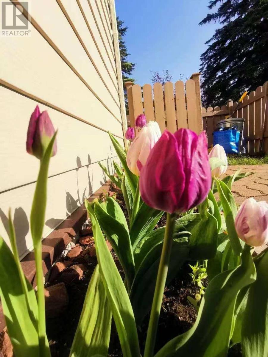 3 582 Nobel Rd, Thunder Bay, Ontario  P7B 5Y8 - Photo 26 - TB2600631