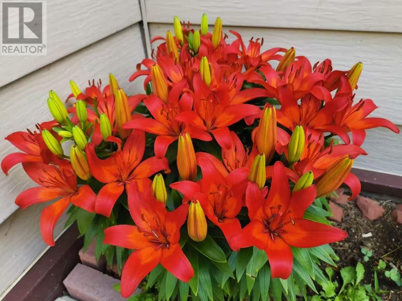 3 582 Nobel Rd, Thunder Bay, Ontario  P7B 5Y8 - Photo 27 - TB2600631