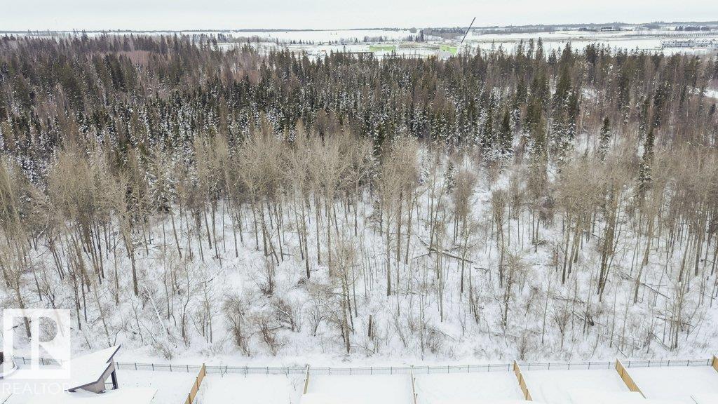 37 Brunswyck Cr, Spruce Grove, Alberta  T7X 0Y9 - Photo 62 - E4471639