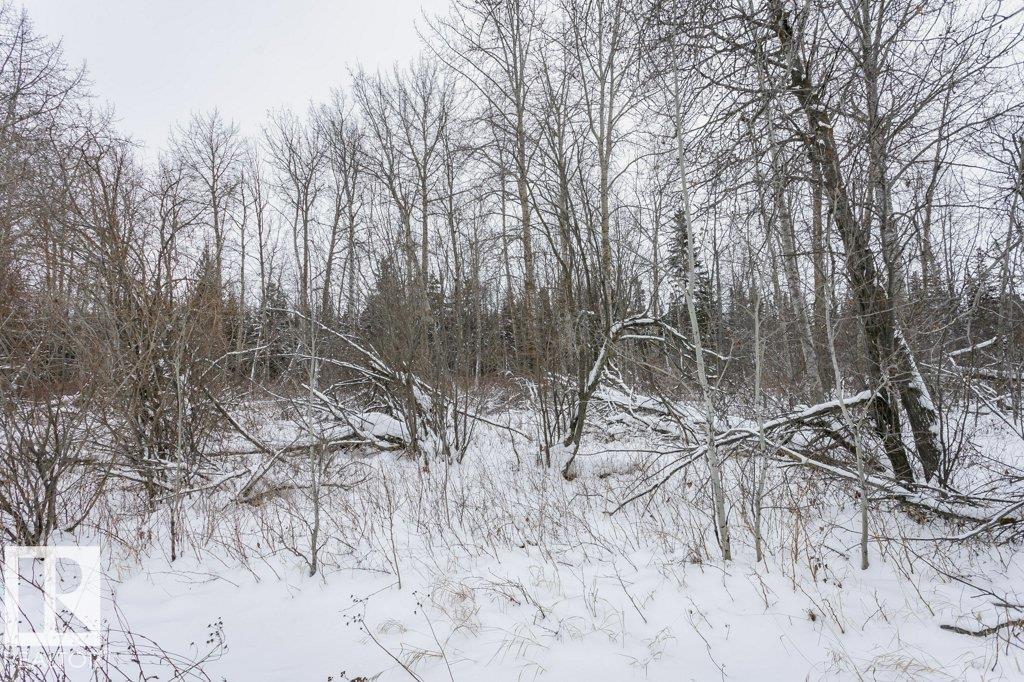 37 Brunswyck Cr, Spruce Grove, Alberta  T7X 0Y9 - Photo 55 - E4471639