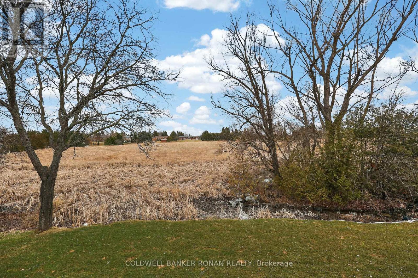 5 John Street, Adjala-Tosorontio, Ontario  L0G 1L0 - Photo 41 - N12963660