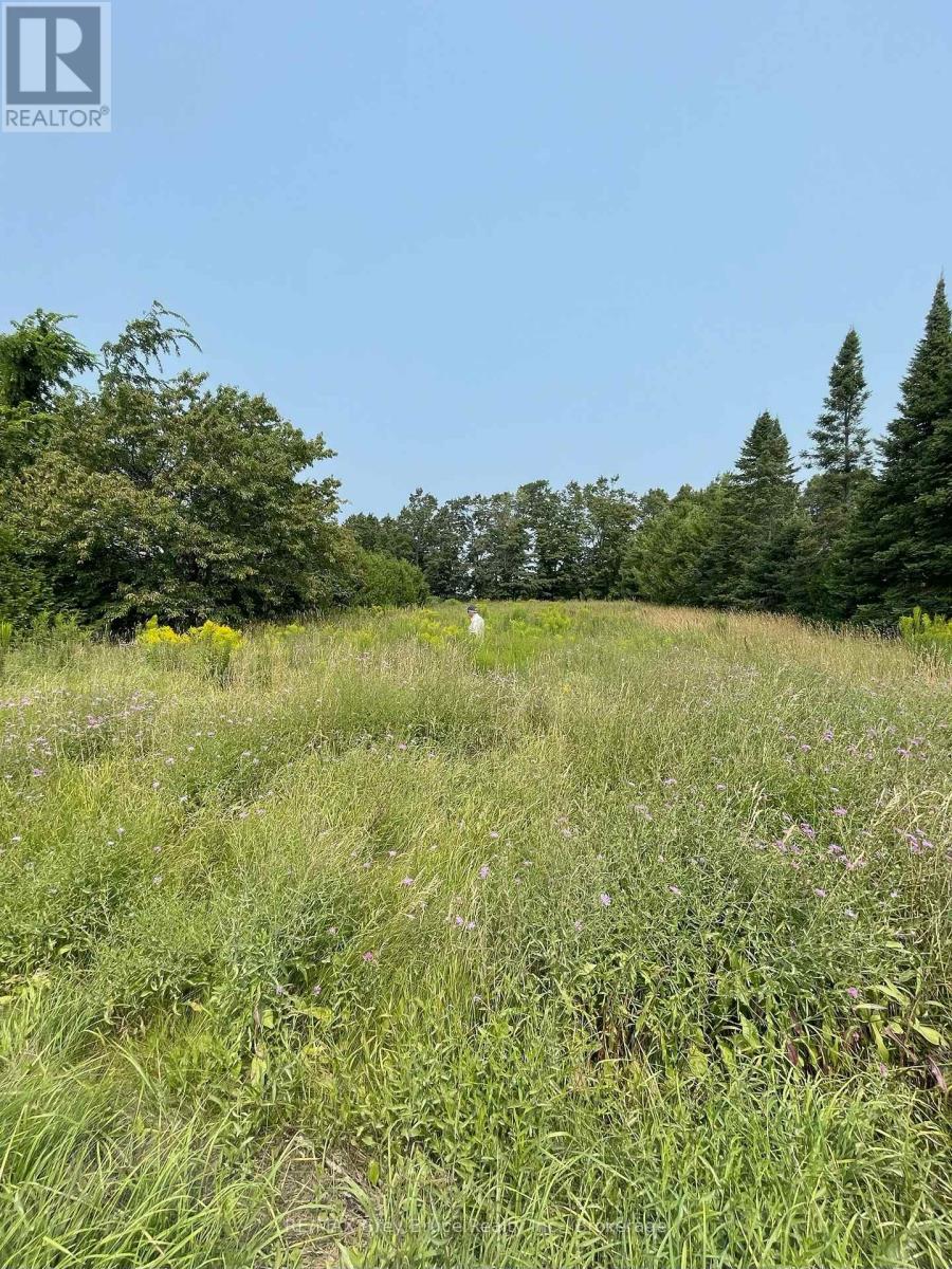 125 Graham's Hill Road, Georgian Bluffs, Ontario  N0H 2T0 - Photo 6 - X12965404