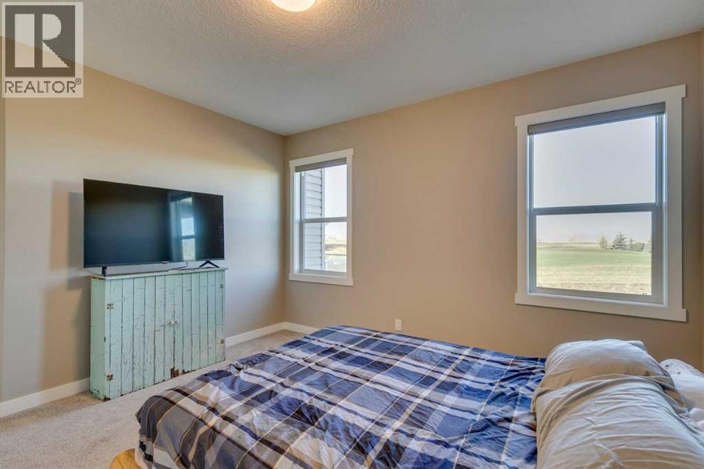 117 Speargrass Close, Carseland, Alberta  T0J 0M0 - Photo 21 - A2274193
