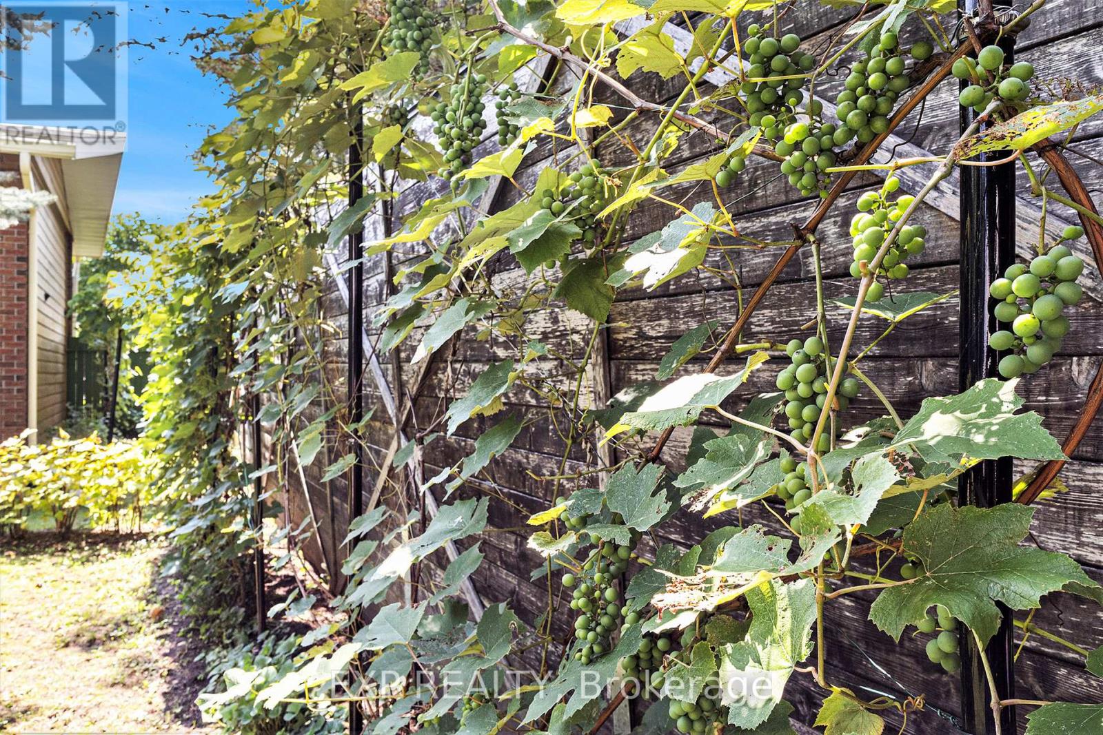 41 Wigan Drive, Ottawa, Ontario  K2E 6K9 - Photo 39 - X12964956