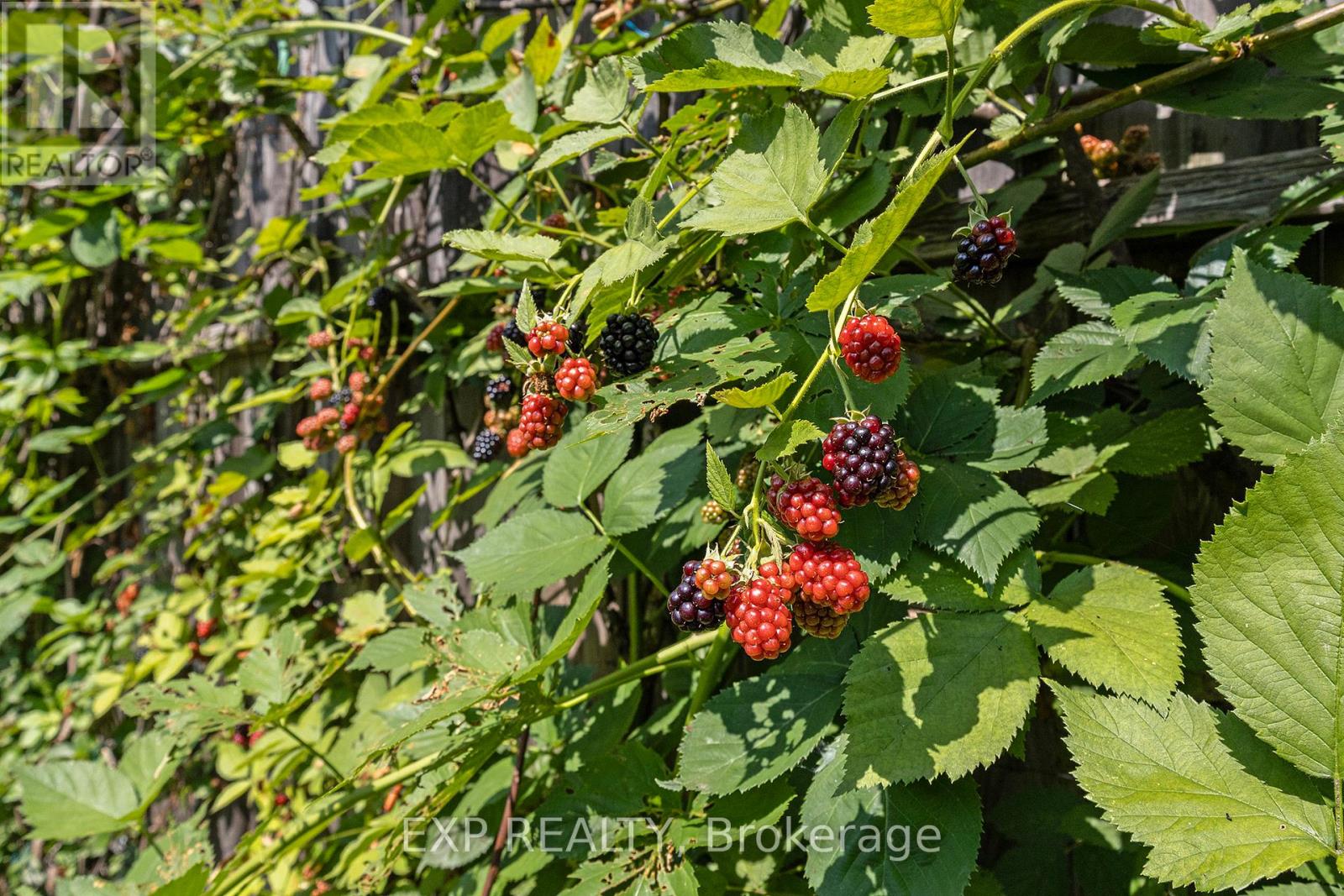 41 Wigan Drive, Ottawa, Ontario  K2E 6K9 - Photo 40 - X12964956