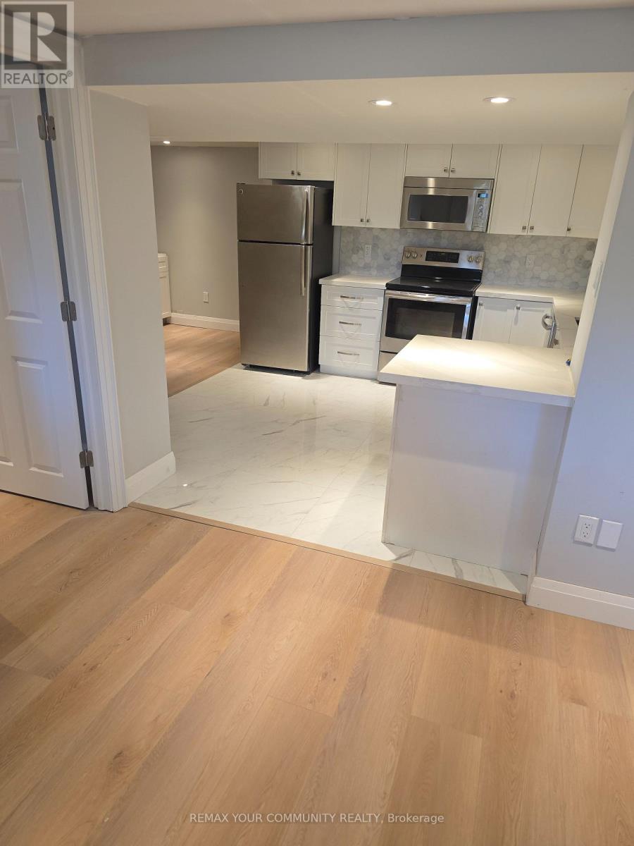 Lower Level - 312 Cochrane Street, Whitby, Ontario  L1N 5J3 - Photo 2 - E12965244