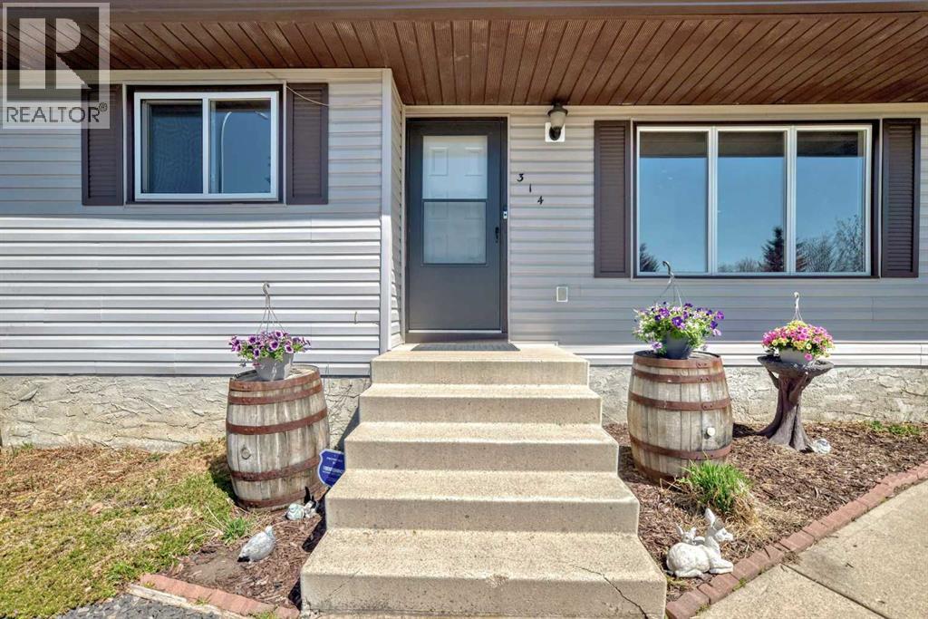 314 Mckinnon Drive, Carseland, Alberta  T0J 0M0 - Photo 3 - A2281254