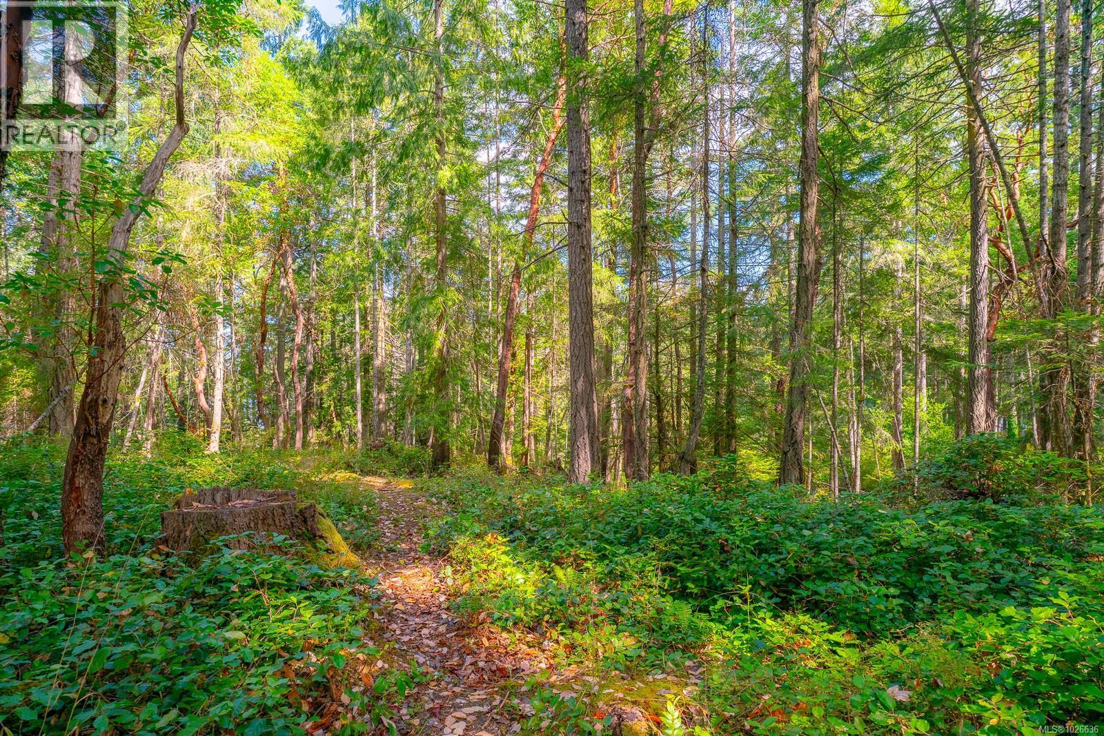 150 Jenkins Rd, Salt Spring, British Columbia  V8K 2M9 - Photo 34 - 1026636