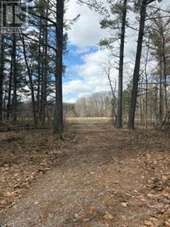 97 Greenly Road, Trent Hills, Ontario  K0K 3K0 - Photo 2 - X12899124