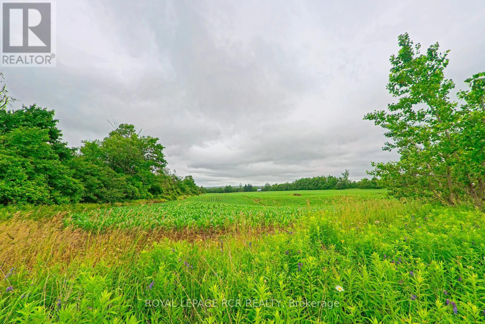537086 Main St, Melancthon, Ontario  L9V 1X6 - Photo 11 - X12965156
