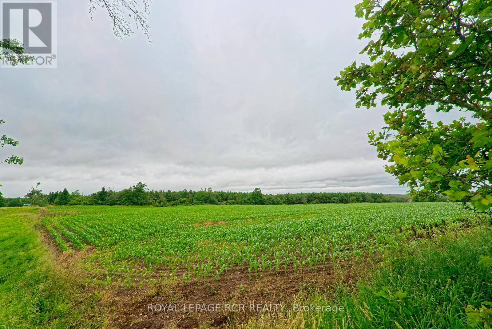 537086 Main St, Melancthon, Ontario  L9V 1X6 - Photo 12 - X12965156
