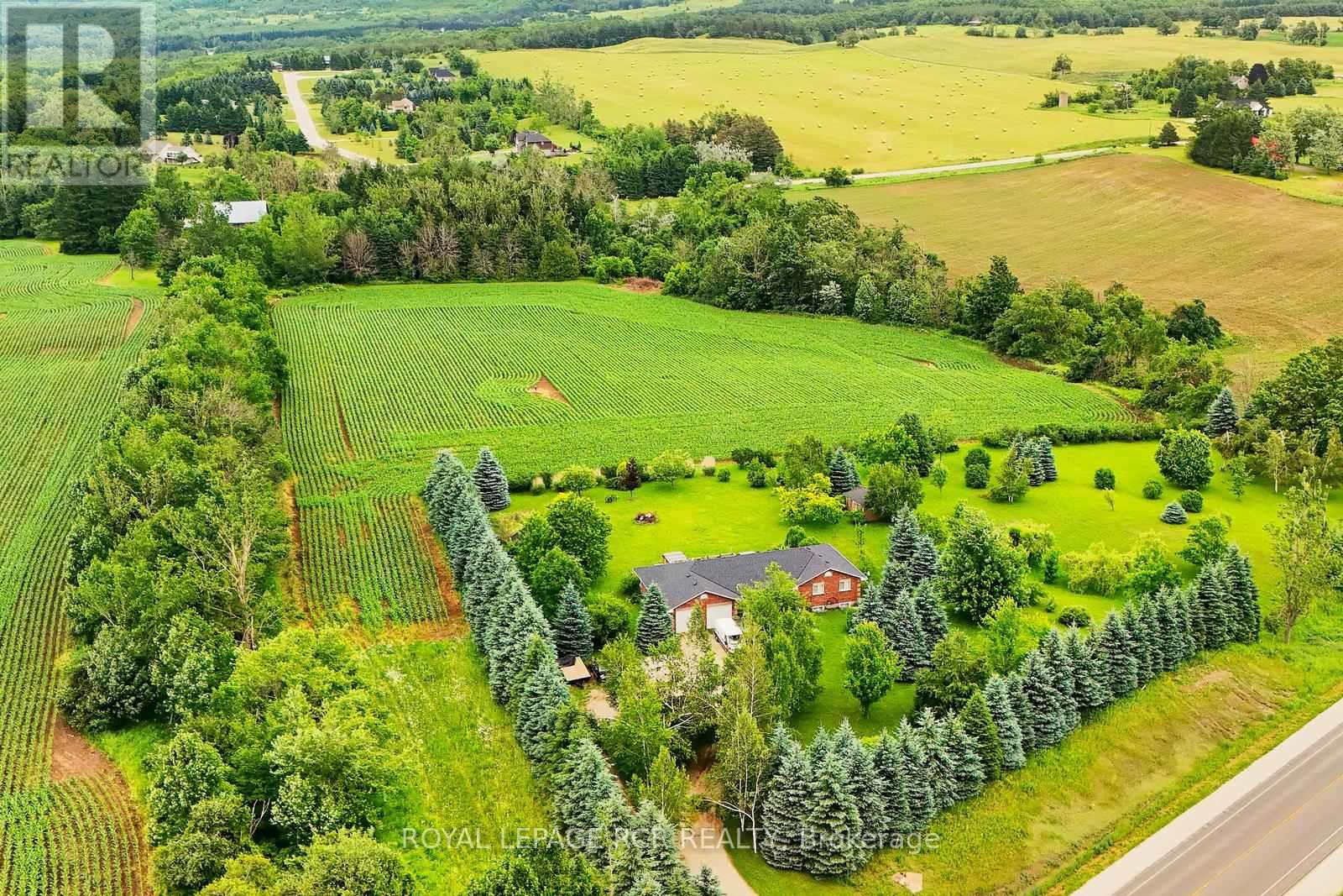 537086 Main St, Melancthon, Ontario  L9V 1X6 - Photo 3 - X12965156