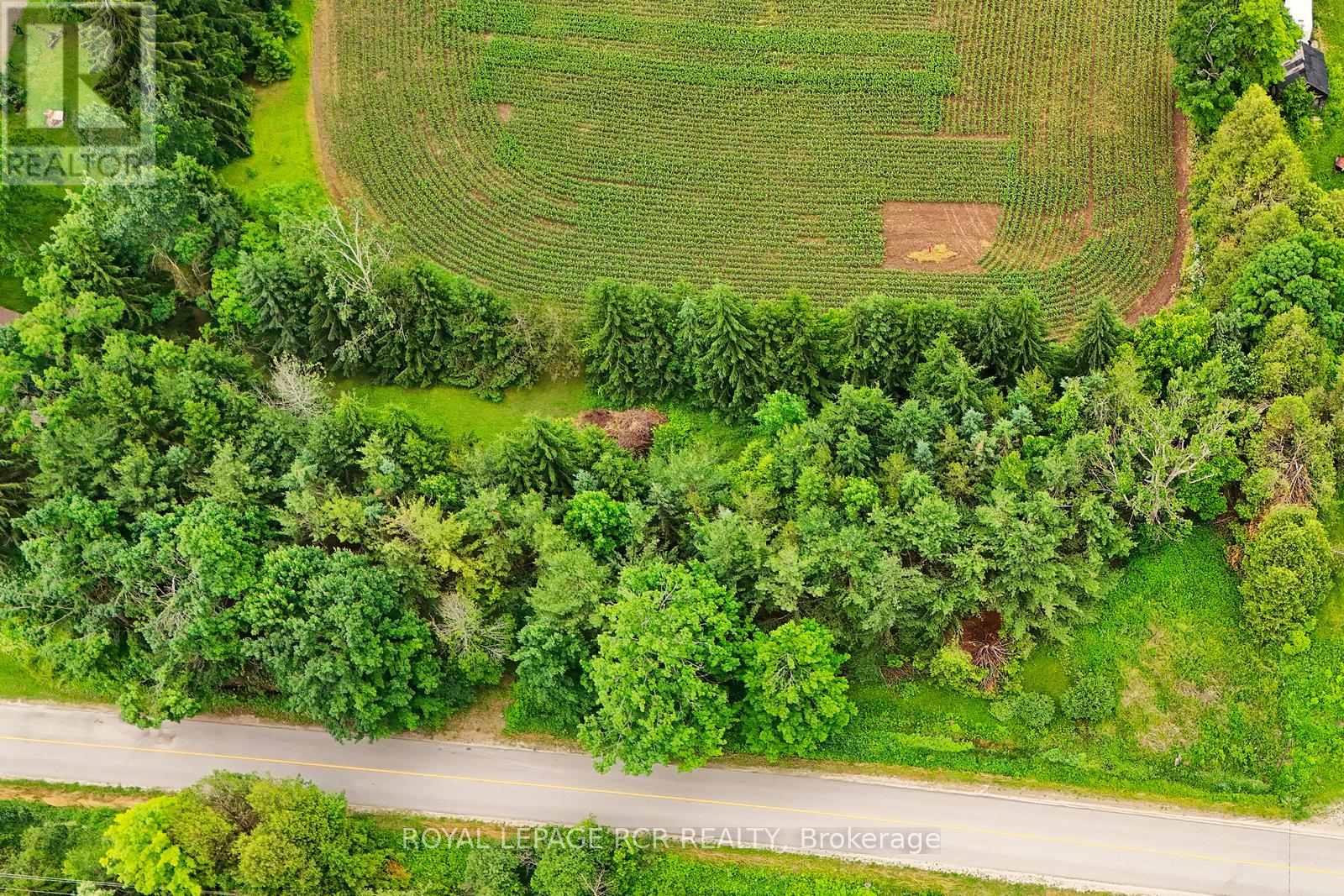 537086 Main St, Melancthon, Ontario  L9V 1X6 - Photo 7 - X12965156