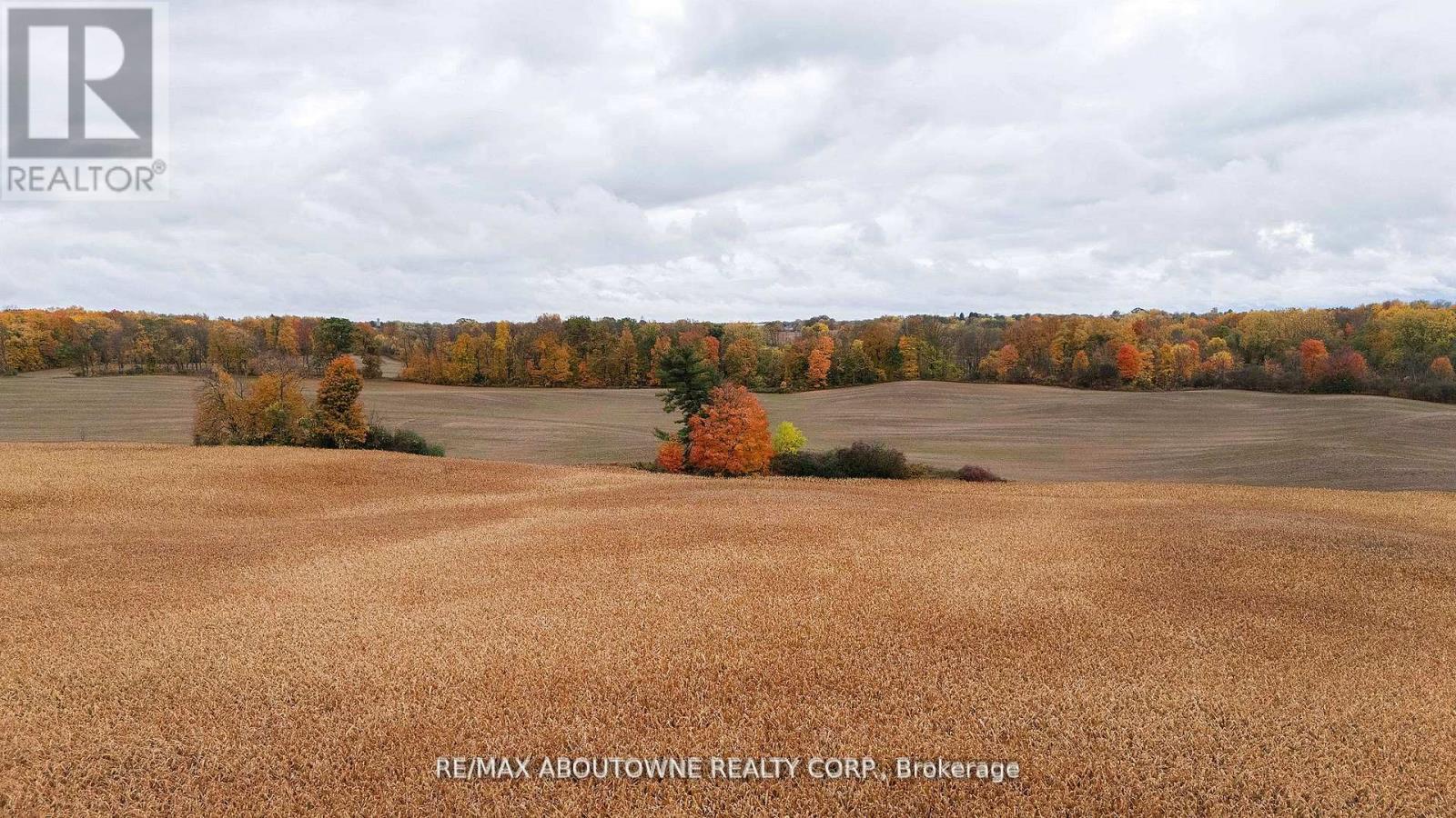 57 Monteith Drive, Brantford, Ontario  N3T 0W6 - Photo 38 - X12965360