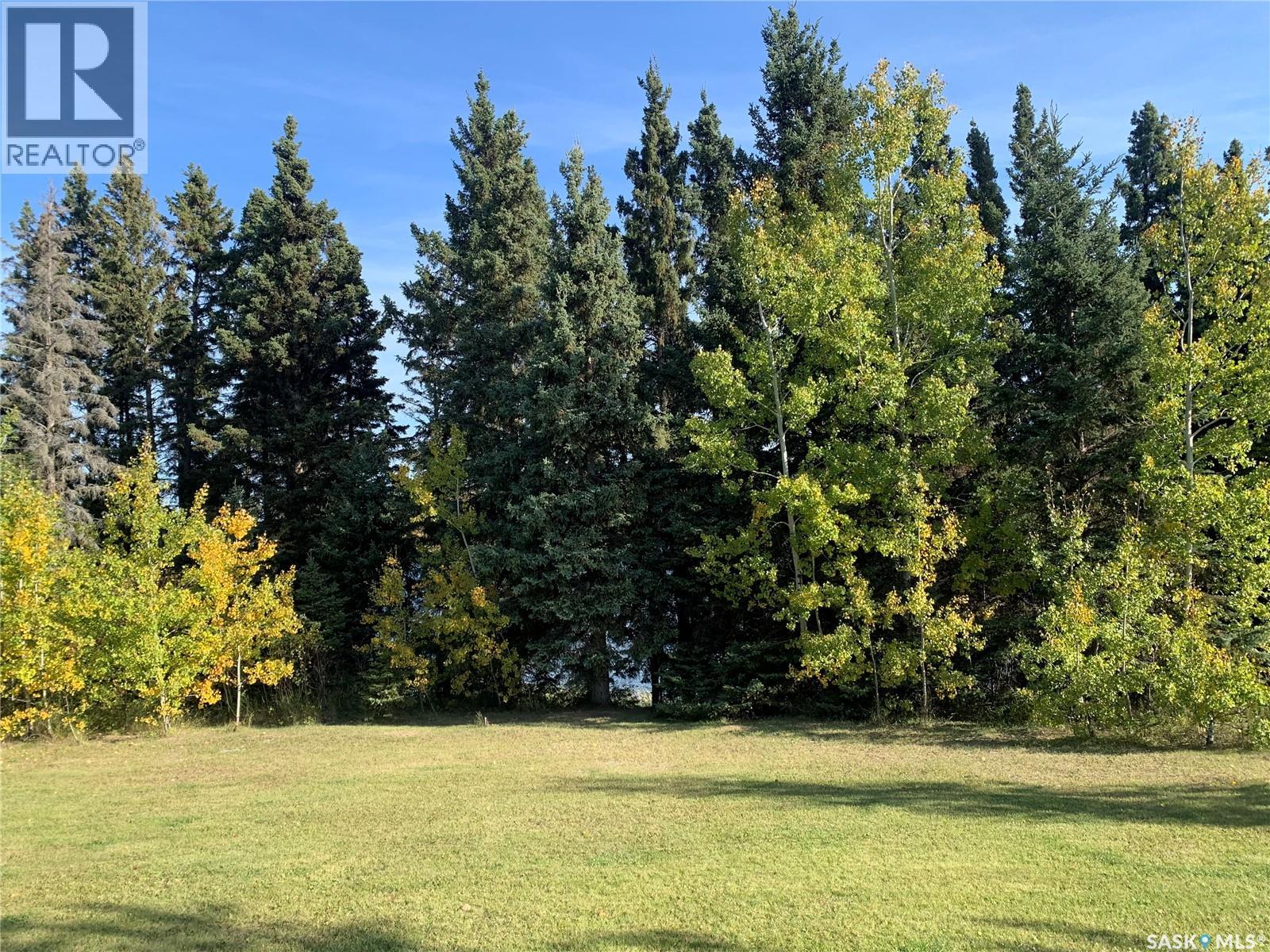 13 Jensen Bay - Blue Heron Ridge, Canwood Rm No. 494, Saskatchewan  S0J 0K0 - Photo 23 - SK032100