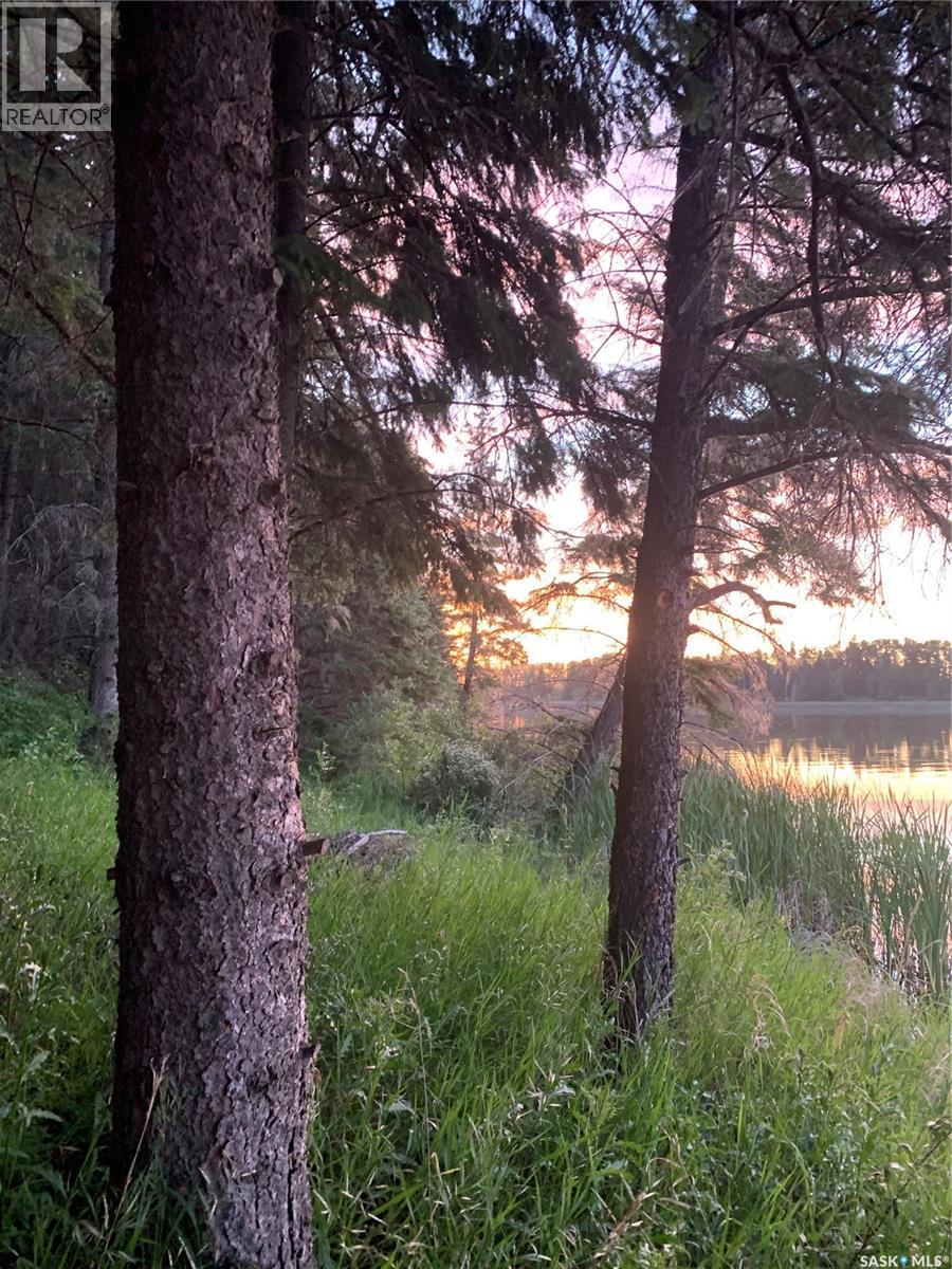 13 Jensen Bay - Blue Heron Ridge, Canwood Rm No. 494, Saskatchewan  S0J 0K0 - Photo 35 - SK032100