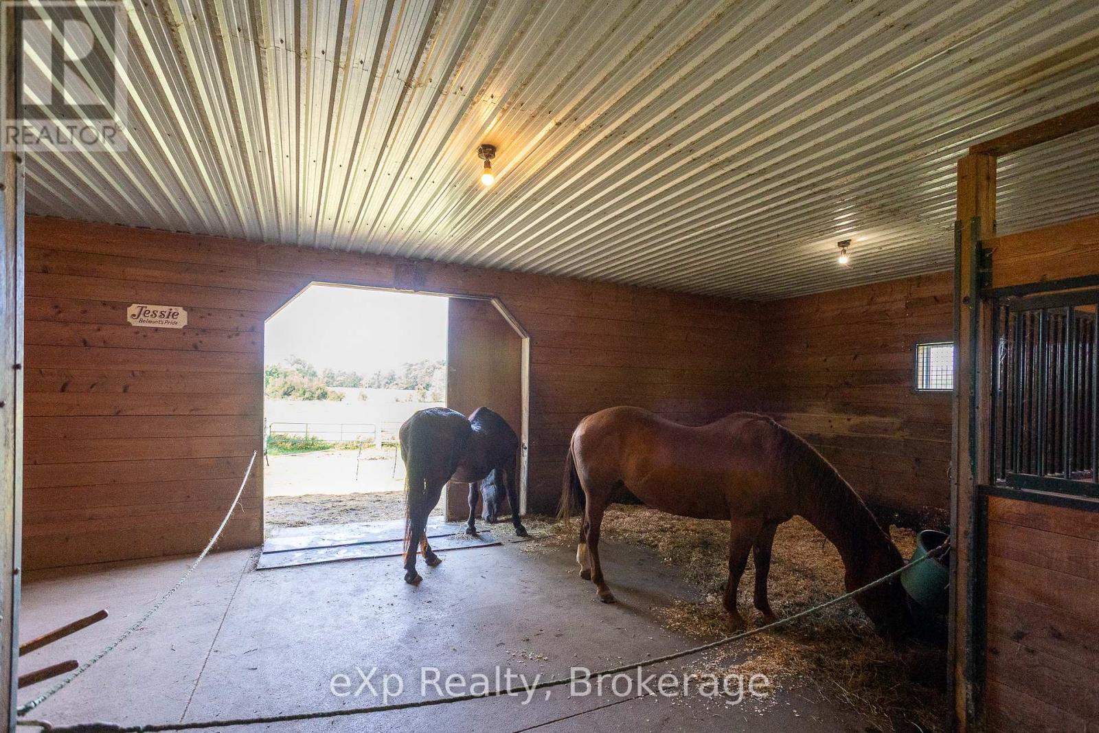116826 Grey Road 3, Chatsworth, Ontario N0H 1K0 - Photo 38 - X12965574