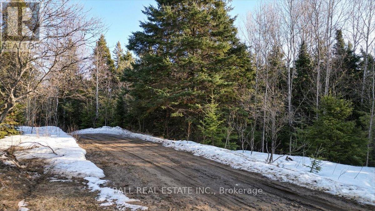 Pt Lt 9-10 Conc 7 Egan Court, Bancroft, Ontario  K0L 1C0 - Photo 4 - X12965558