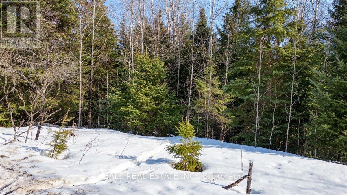 Pt Lt 9-10 Conc 7 Egan Court, Bancroft, Ontario  K0L 1C0 - Photo 5 - X12965558