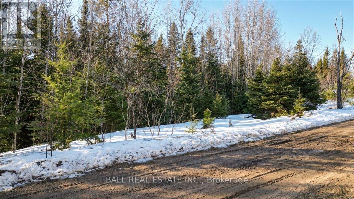 Pt Lt 9-10 Conc 7 Egan Court, Bancroft, Ontario  K0L 1C0 - Photo 7 - X12965558