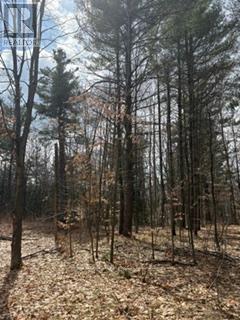 97 Greenly Road, Trent Hills, Ontario  K0K 3K0 - Photo 14 - X12899124