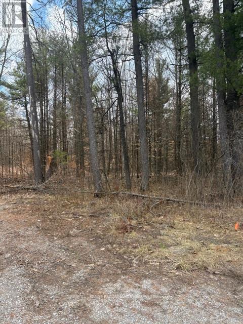 97 Greenly Road, Trent Hills, Ontario  K0K 3K0 - Photo 17 - X12899124