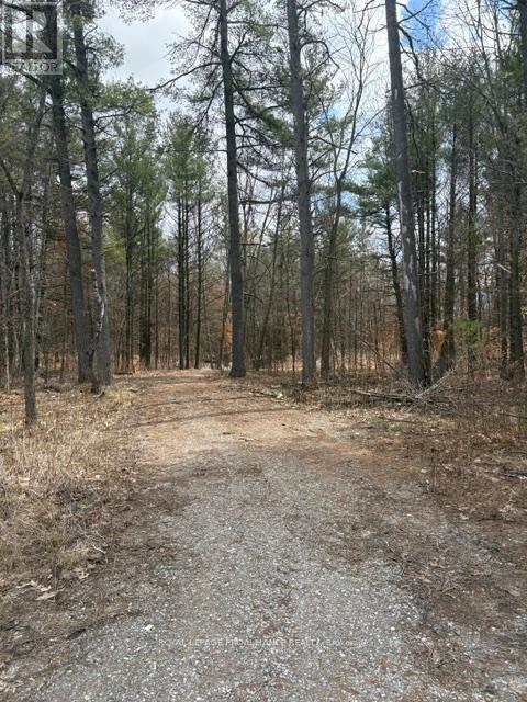 97 Greenly Road, Trent Hills, Ontario  K0K 3K0 - Photo 3 - X12899124