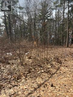 97 Greenly Road, Trent Hills, Ontario  K0K 3K0 - Photo 12 - X12899124