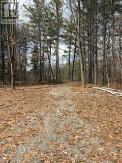 97 Greenly Road, Trent Hills, Ontario  K0K 3K0 - Photo 10 - X12899124