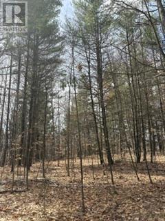 97 Greenly Road, Trent Hills, Ontario  K0K 3K0 - Photo 13 - X12899124