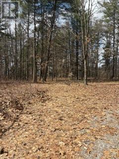 97 Greenly Road, Trent Hills, Ontario  K0K 3K0 - Photo 11 - X12899124