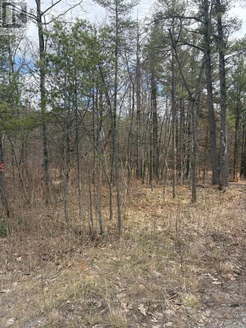 97 Greenly Road, Trent Hills, Ontario  K0K 3K0 - Photo 16 - X12899124