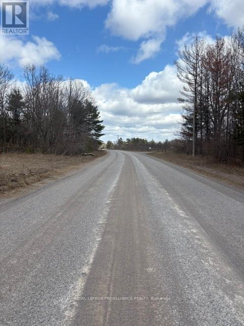 97 Greenly Road, Trent Hills, Ontario  K0K 3K0 - Photo 18 - X12899124