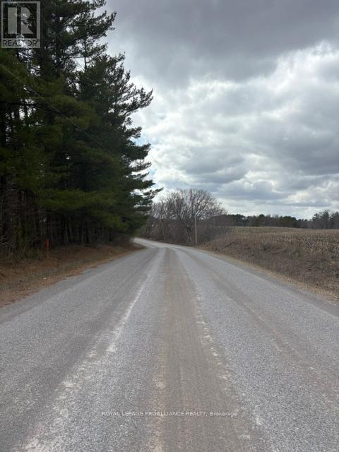 97 Greenly Road, Trent Hills, Ontario  K0K 3K0 - Photo 19 - X12899124