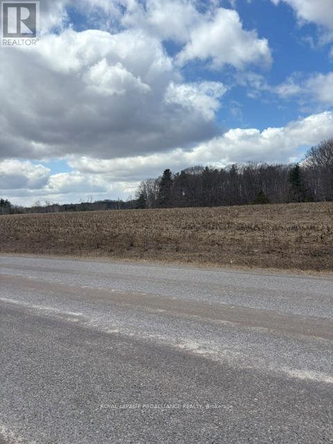 97 Greenly Road, Trent Hills, Ontario  K0K 3K0 - Photo 20 - X12899124