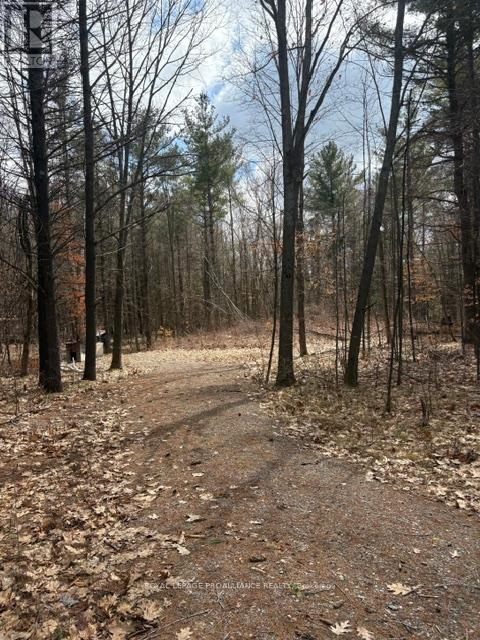 97 Greenly Road, Trent Hills, Ontario  K0K 3K0 - Photo 5 - X12899124